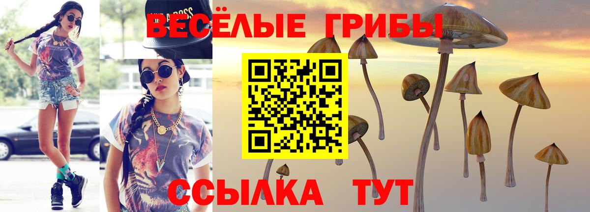Галлюциногенные грибы мицелий Нягань
